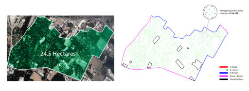Yasin Delavar | Portfolio / Land Development + AI / All rights reserved. / Carbon map 24.5 Hectares