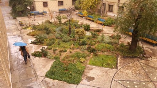 Yasin Delavar | Portfolio / Leadership / The Botanical Garden of Landscape Architecture Department / leadership-garden-59