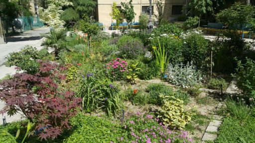 Yasin Delavar | Portfolio / The Botanical Garden of Landscape Architecture Department / Gallery / leadership-garden-62
