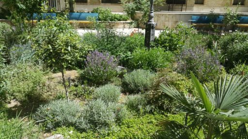 Yasin Delavar | Portfolio / Leadership / The Botanical Garden of Landscape Architecture Department / leadership-garden-63